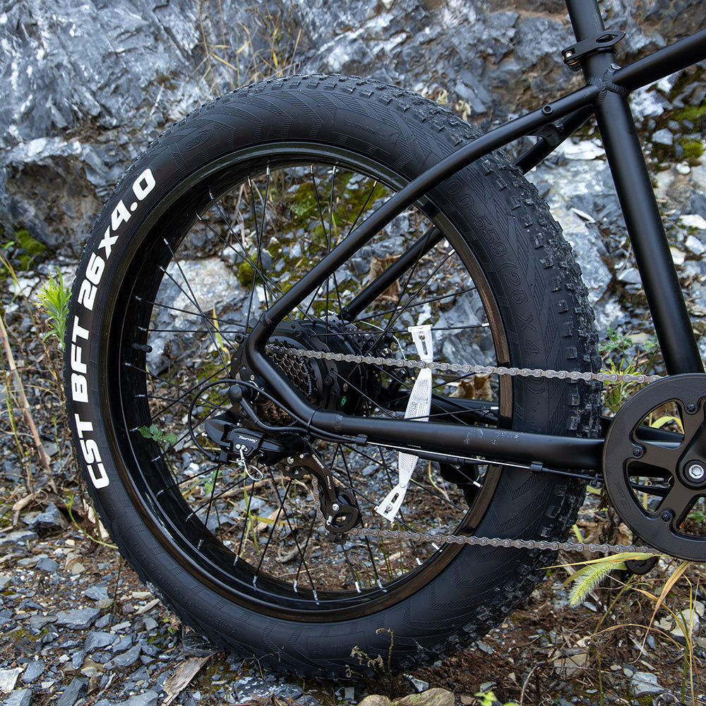 ElecRideCo X1000 — 1000W Fat Tire Electric Mountain Bike
